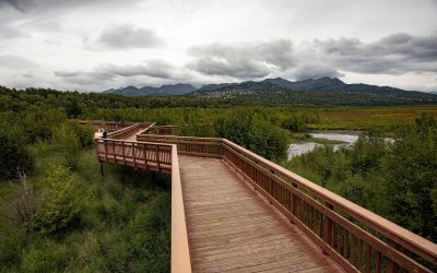 Erika and David’s Elopement | Alaska Wildlife Conservation Center | Girdwood, Alaska