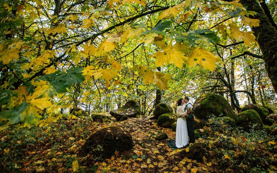 Ariana and Jacob | Bonesteele Park | Salem Oregon Elopement Photographer